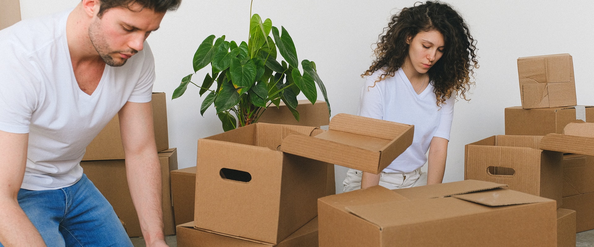 TaskDotNet Partnerprogramm